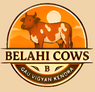 belahicows